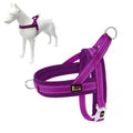 Plutus Pet No Pull Dog Harness with Breathable Mesh Padded, Adjustable Reflective Escape Proof Dog Harness, Quick Fit Dog Vest Harness for Small Medium Large Dogs(M, Beige)