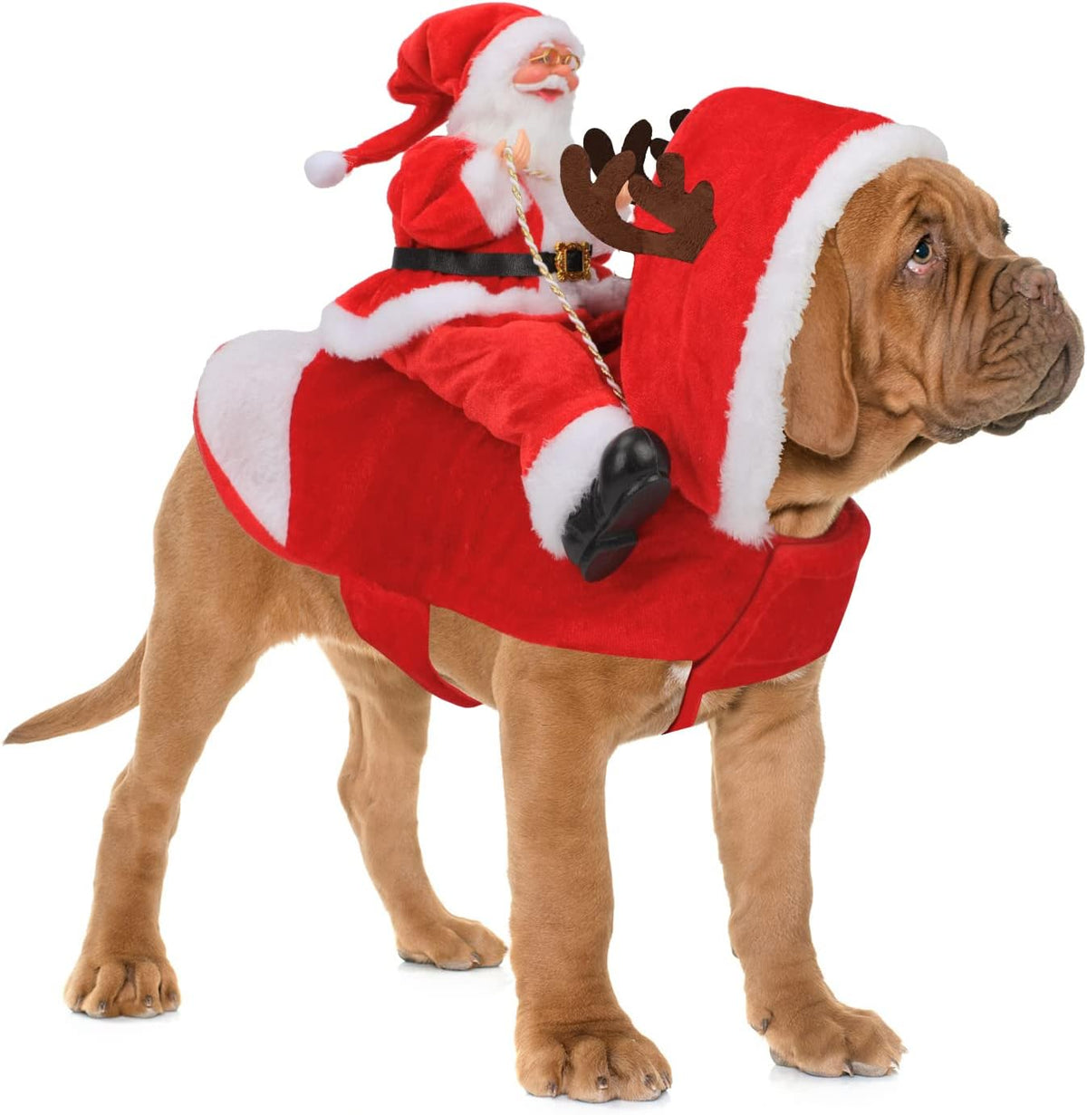 Santa Dog Costume, Dog Christmas Outfit, Riding Pet Costume, Size M