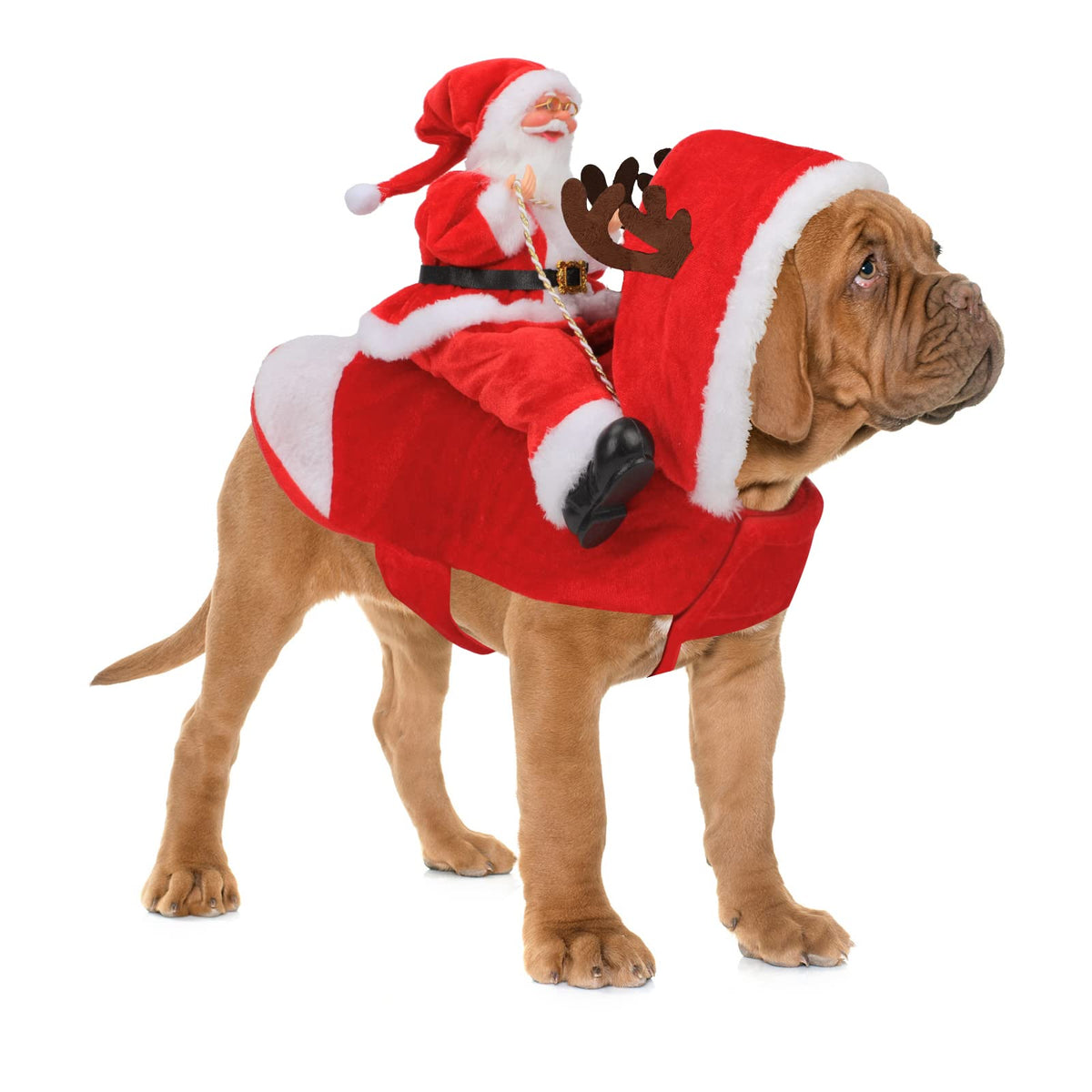 Santa Dog Costume, Dog Christmas Outfit, Riding Pet Costume, Size M