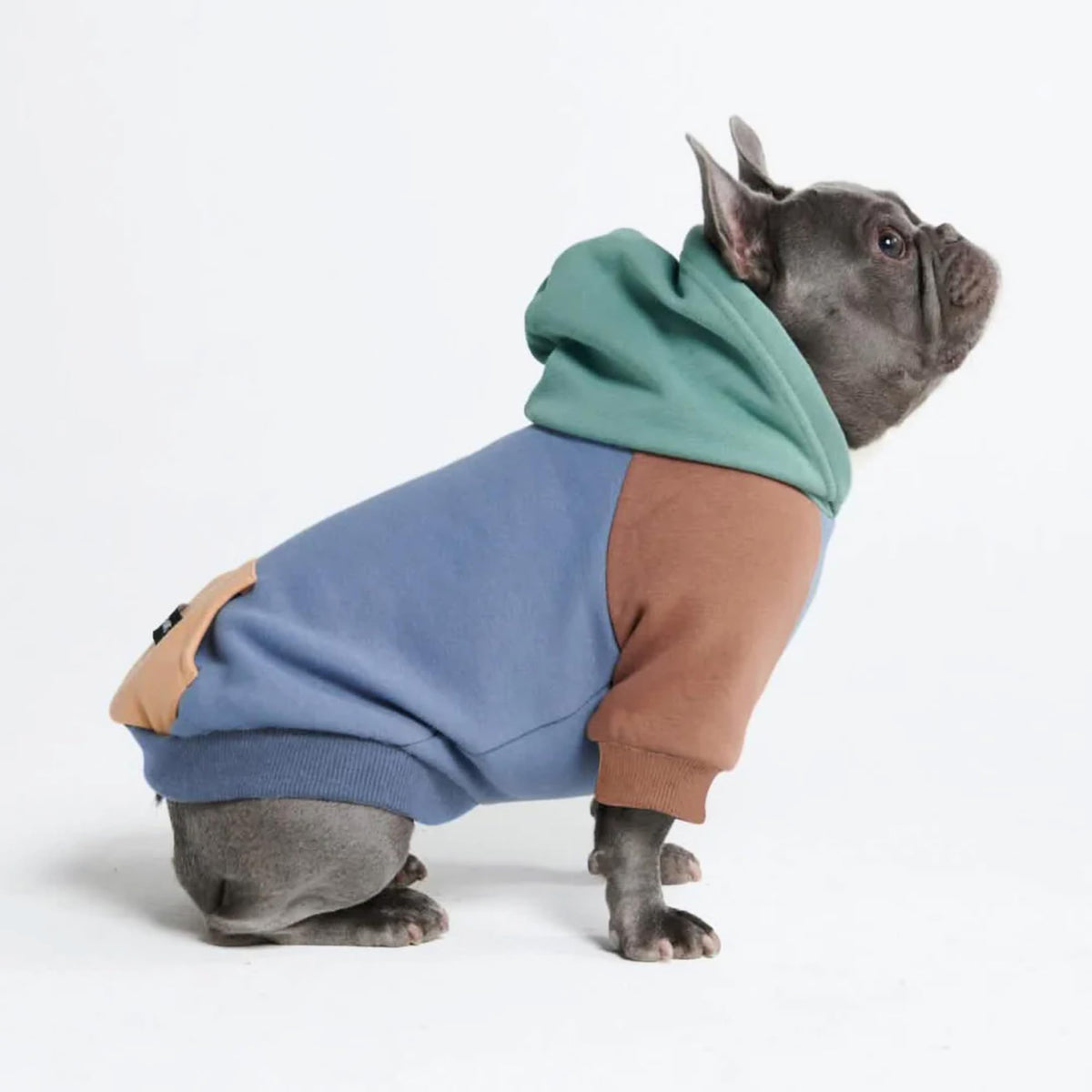 Spark Paws Dog Hoodie – Premium Dog Sweater for Small, Medium, and Large Dogs | Warm Outfits for French Bulldogs, Pitbull, Puppy, Winter Jacket Alternative - Slate Blue - XL