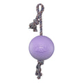 Jolly Pets Romp-n-Roll Rope and Ball Dog Toy, 8 Inches/Large, Blueberry, All Breed Sizes