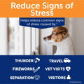 ThunderBites Hemp Calming Chews for Dogs, Everyday Use Can Help Relieve Stress from Separation, Storms, Fireworks & Travel (60 Count), Formerly ThunderWunders