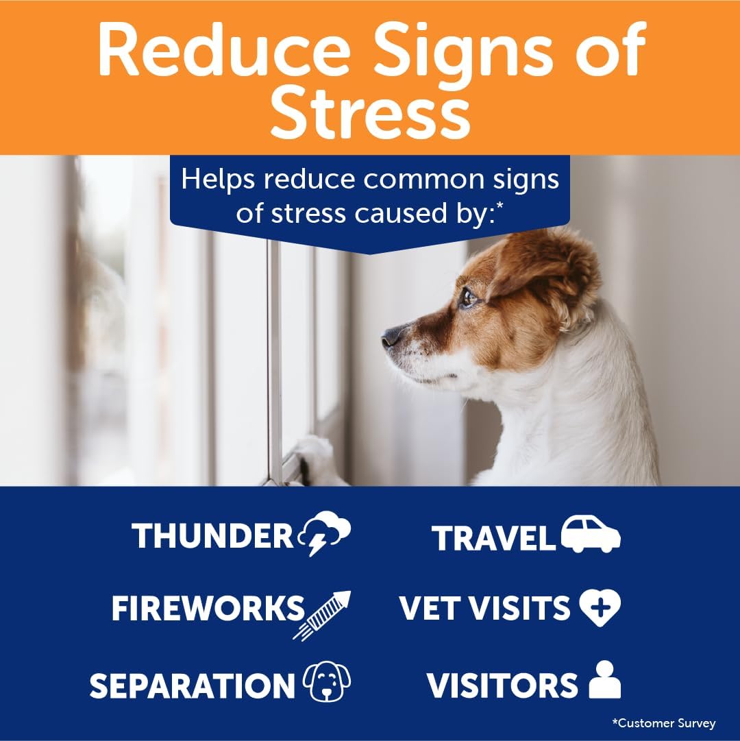 ThunderBites Hemp Calming Chews for Dogs, Everyday Use Can Help Relieve Stress from Separation, Storms, Fireworks & Travel (60 Count), Formerly ThunderWunders