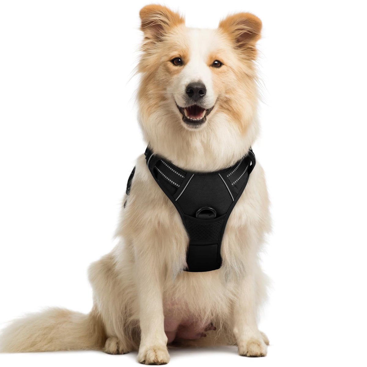 rabbitgoo Dog Harness No Pull with 2 Leash Clips, Adjustable Soft Padded, Reflective Oxford No Choke Pet Vest with Easy Control Handle for Large Dogs, Black, L