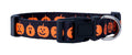 Native Pup Halloween Dog Collar- Spooky Fall Themed Horror Costume Collars- Skull, Pumpkin, Ghost, Bat, Witch, Candy Corn, Spider- Adjustable for Small, Medium, Large Breeds (Small, Big Pumpkins)