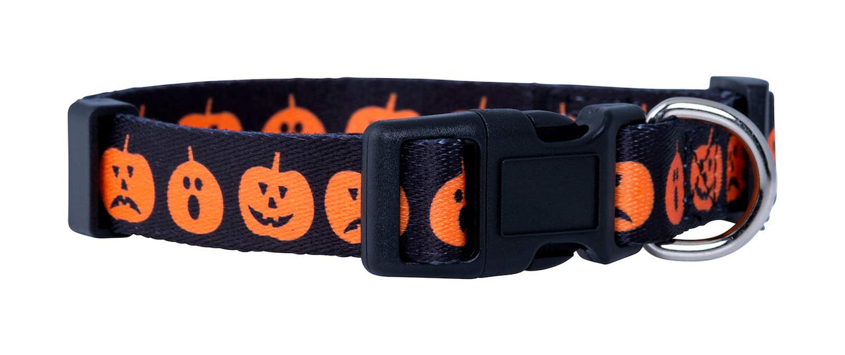 Native Pup Halloween Dog Collar- Spooky Fall Themed Horror Costume Collars- Skull, Pumpkin, Ghost, Bat, Witch, Candy Corn, Spider- Adjustable for Small, Medium, Large Breeds (Small, Big Pumpkins)