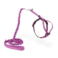 PetSafe Come with Me Kitty Harness and Bungee Leash Adjustable, Lightweight Harness for Cats Large, Lilac