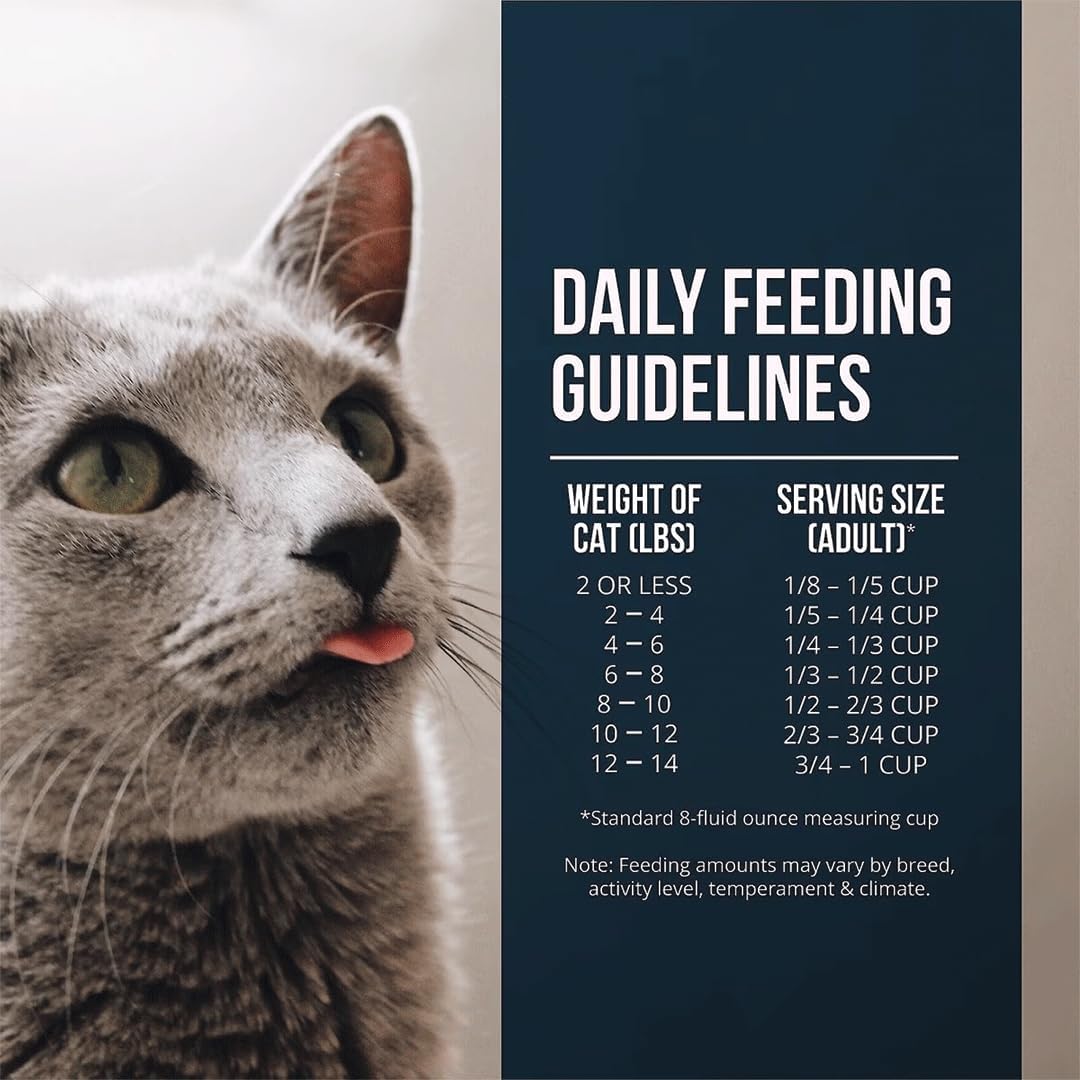 Fussie Cat Market Fresh Salmon Recipe, Dry Cat Food, 3.5lb Bag