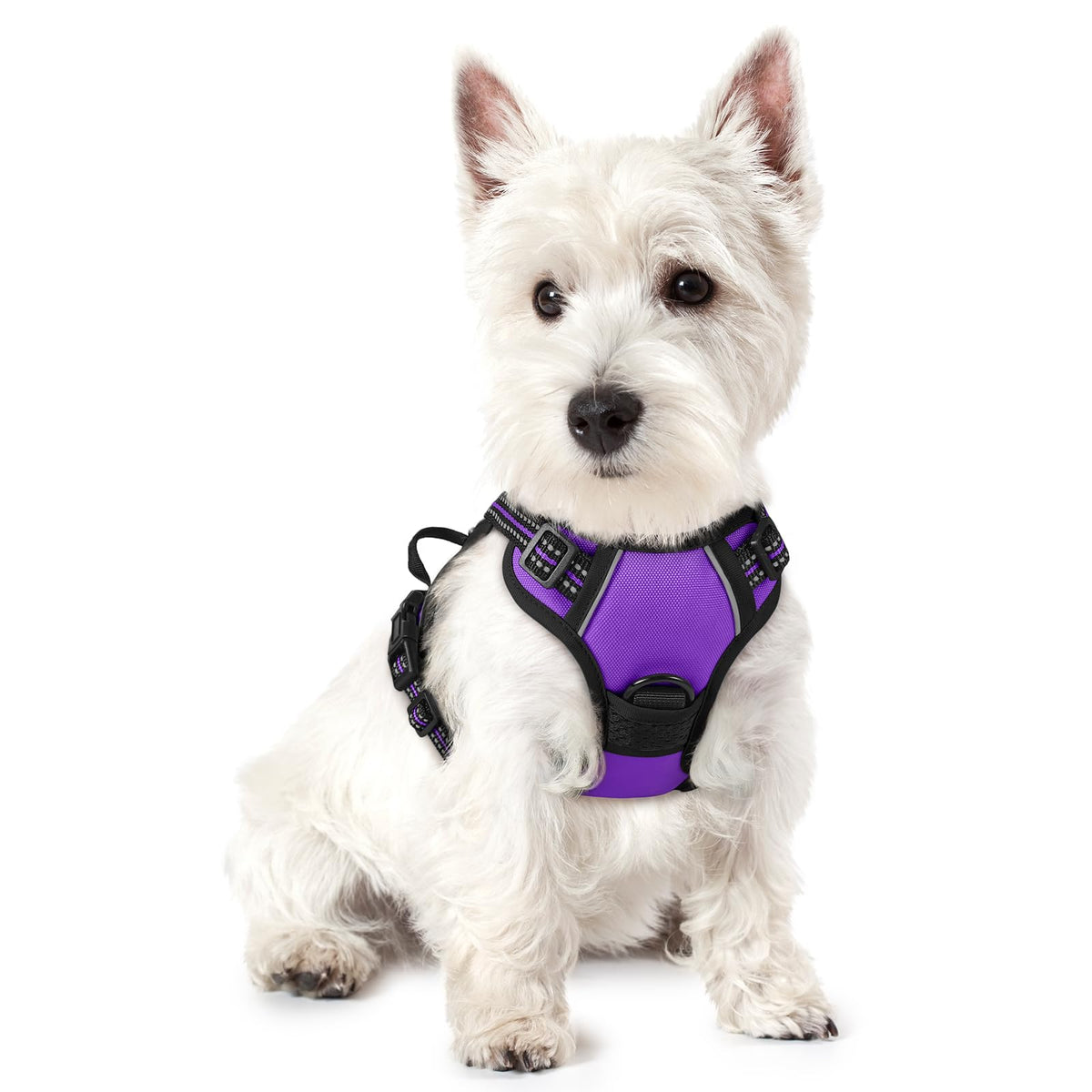 rabbitgoo Dog Harness No Pull with 2 Leash Clips, Adjustable Soft Padded, Reflective Oxford No Choke Pet Vest with Easy Control Handle for Medium Sized Dogs, Black, M