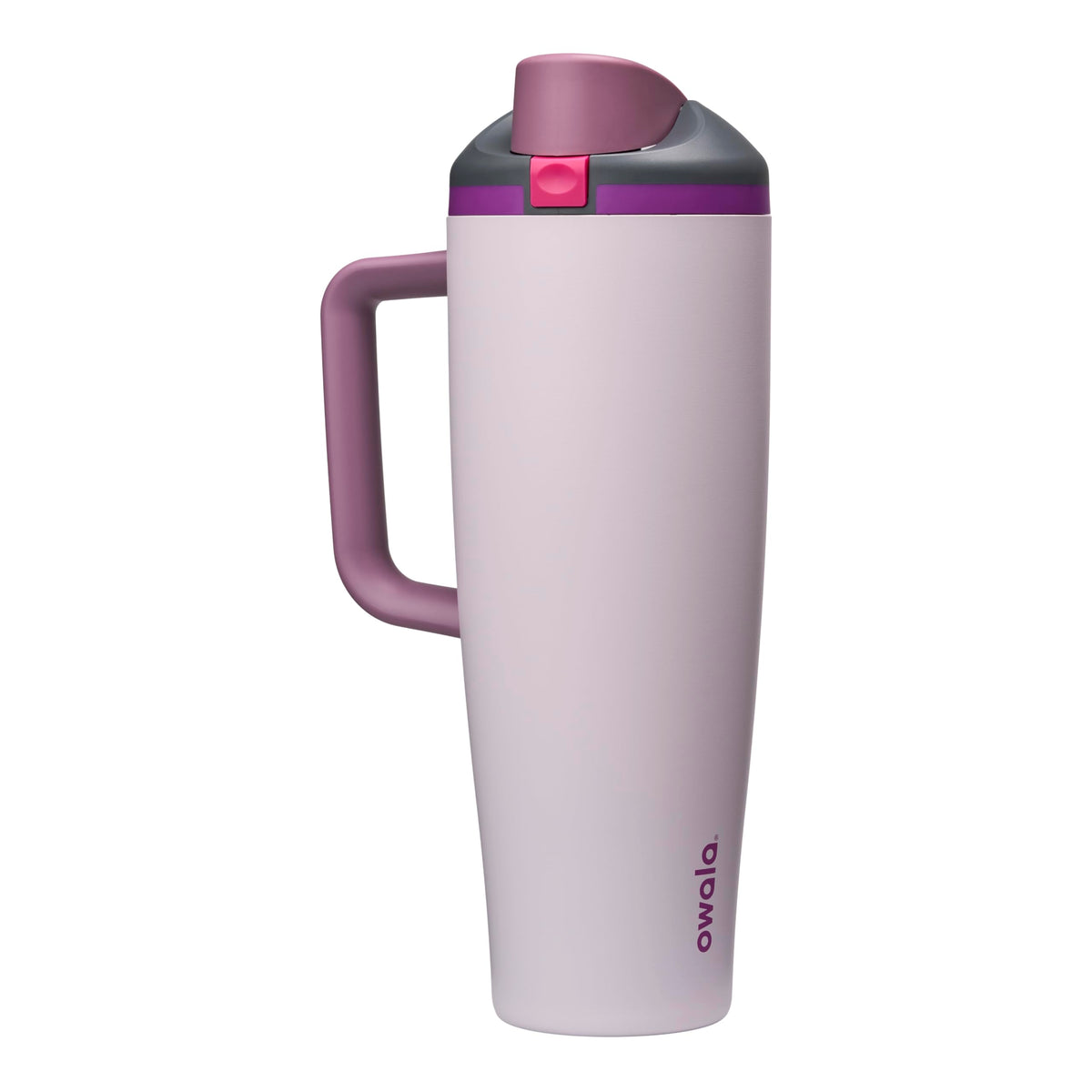 Owala FreeSip Tumbler Insulated Stainless Steel Water Bottle with Built-in Straw and Side Handle, For Travel, Work, School, and Sports, 40oz, BPA Free, Leak Proof, Strawberry Fields