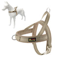Plutus Pet No Pull Dog Harness with Breathable Mesh Padded, Adjustable Reflective Escape Proof Dog Harness, Quick Fit Dog Vest Harness for Small Medium Large Dogs(M, Beige)