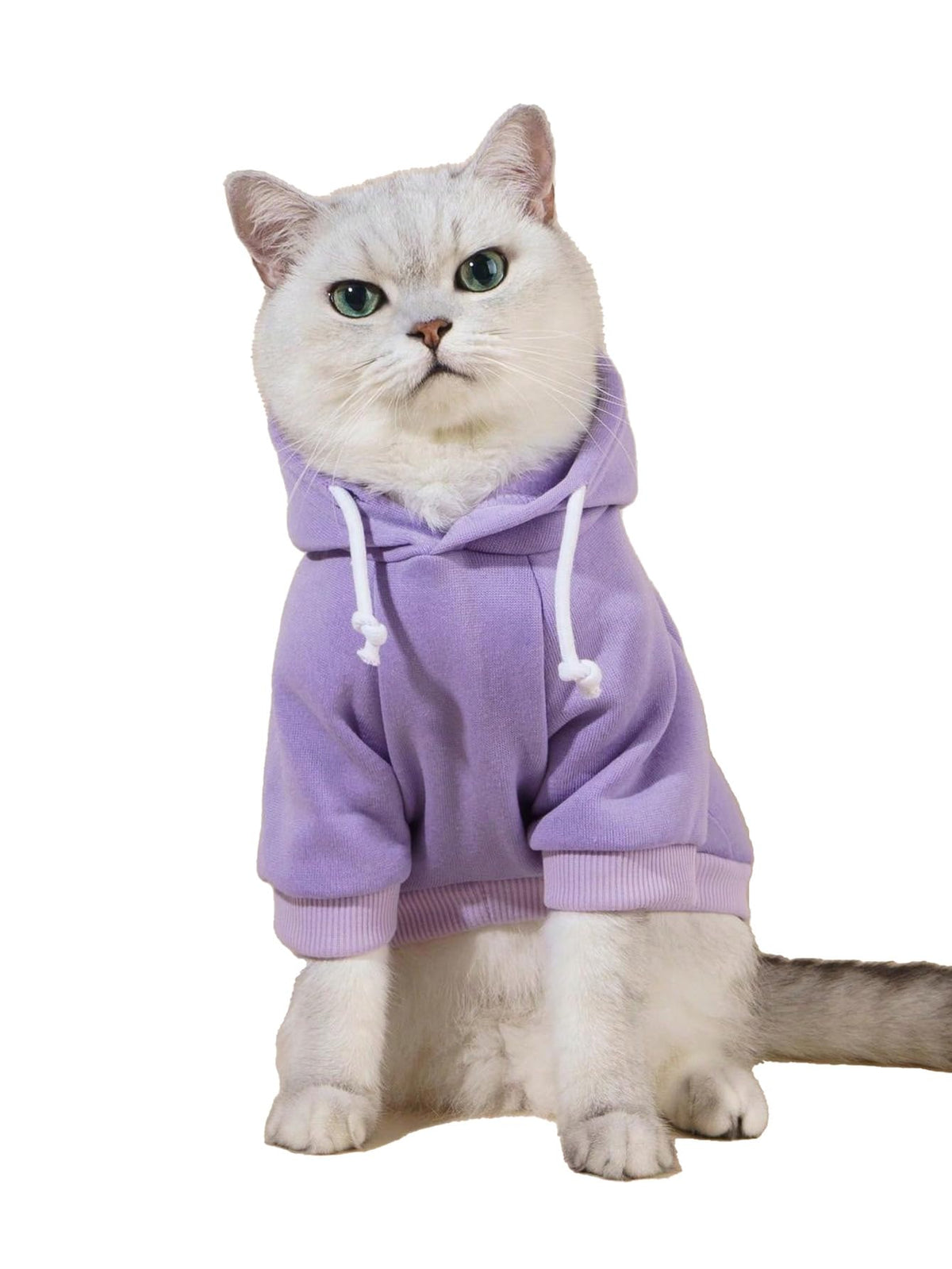 QWINEE Basic Dog Hoodie Sweatshirt Puppy Sweater Warm Cat Costumes Pet Clothes for Chihuahua Puppy Kitten Small Medium Dogs Cadet Blue Medium