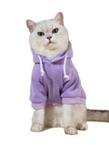 QWINEE Basic Dog Hoodie Sweatshirt Puppy Sweater Warm Cat Costumes Pet Clothes for Chihuahua Puppy Kitten Small Medium Dogs Cadet Blue Medium