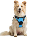 rabbitgoo Dog Harness No Pull with 2 Leash Clips, Adjustable Soft Padded, Reflective Oxford No Choke Pet Vest with Easy Control Handle for Large Dogs, Black, L