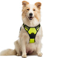 rabbitgoo Dog Harness No Pull with 2 Leash Clips, Adjustable Soft Padded, Reflective Oxford No Choke Pet Vest with Easy Control Handle for Medium Sized Dogs, Black, M