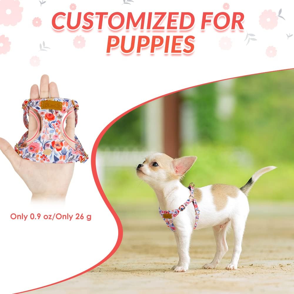 SlowTon No Pull Dog Harness with Leash for Small Medium Dogs, Flower XXS