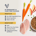 Instinct Original Dry Cat Food, Raw Coated Kibble, Real Chicken, 11 lb. Bag