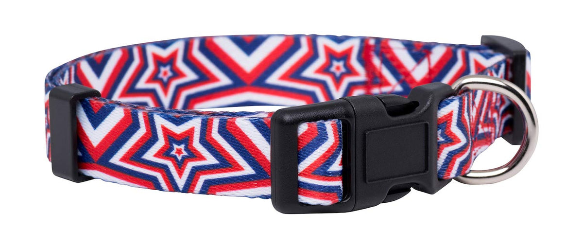 Native Pup Halloween Dog Collar- Spooky Fall Themed Horror Costume Collars- Skull, Pumpkin, Ghost, Bat, Witch, Candy Corn, Spider- Adjustable for Small, Medium, Large Breeds (Small, Big Pumpkins)