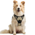rabbitgoo Dog Harness No Pull with 2 Leash Clips, Adjustable Soft Padded, Reflective Oxford No Choke Pet Vest with Easy Control Handle for Large Dogs, Black, L