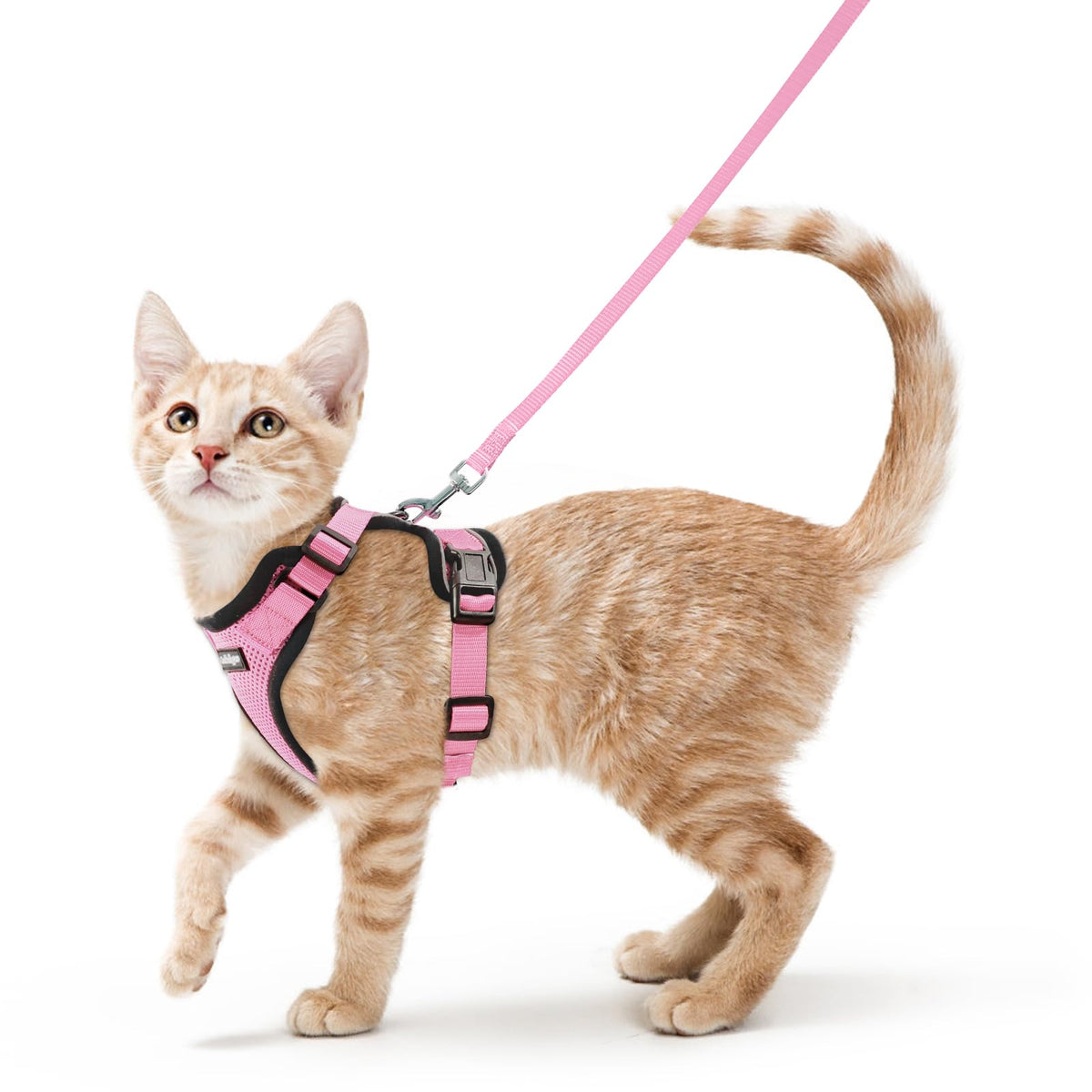 rabbitgoo Cat Harness and Leash Set, Escape Proof Vest, Black | Soft Breathable Mesh, Easy Adjustable Fit, Snap Buckles, Sturdy Clip, Reflective Strips, for Small & Average Cats Walks, Xs