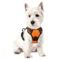 rabbitgoo Dog Harness No Pull with 2 Leash Clips, Adjustable Soft Padded, Reflective Oxford No Choke Pet Vest with Easy Control Handle for Medium Sized Dogs, Black, M