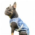 Spark Paws Dog Cooling Vest - SPF 50 UV Sun Protection - Summer Heat Relief Gear for Dogs, Lightweight, Evaporative Cooling - Dog Anxiety Relief Vest During Hot Days - Snowcone, XL