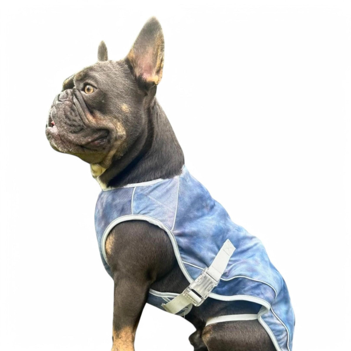 Spark Paws Dog Cooling Vest - SPF 50 UV Sun Protection - Summer Heat Relief Gear for Dogs, Lightweight, Evaporative Cooling - Dog Anxiety Relief Vest During Hot Days - Snowcone, XL