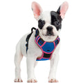 rabbitgoo Dog Harness No Pull with 2 Leash Clips, Adjustable Soft Padded, Reflective Oxford No Choke Pet Vest with Easy Control Handle for Large Dogs, Black, L