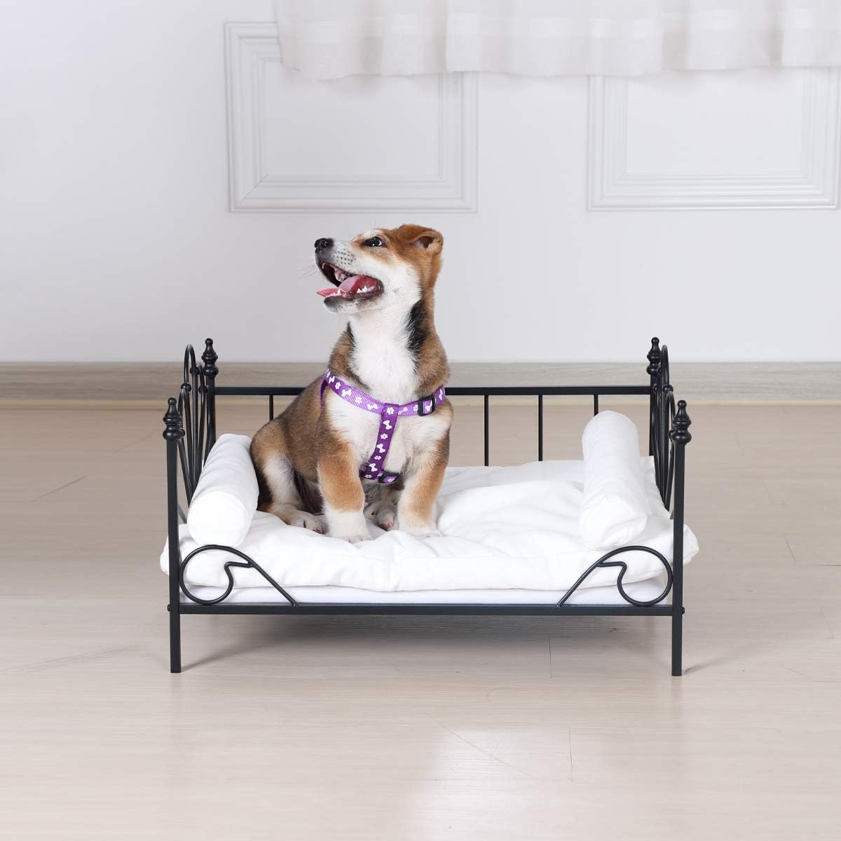 Babyland Bed for Dog, Pet Couch Bed with Metal Frame and Detached White Velvet Cushion with 2 Pillow for Small Pet