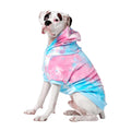 Spark Paws Dog Hoodie – Premium Dog Sweater for Small, Medium, and Large Dogs | Warm Outfits for French Bulldogs, Pitbull, Puppy, Winter Jacket Alternative - Slate Blue - XL