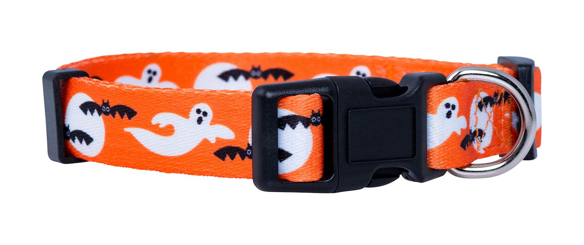 Native Pup Halloween Dog Collar- Spooky Fall Themed Horror Costume Collars- Skull, Pumpkin, Ghost, Bat, Witch, Candy Corn, Spider- Adjustable for Small, Medium, Large Breeds (Small, Big Pumpkins)