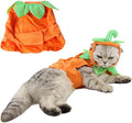 ANIAC Pet Pumpkin Costume Cat Halloween Hat Cloak Sets Puppy Poncho Dog Halloween Cosplay for Kitty Small Medium Sized Dog