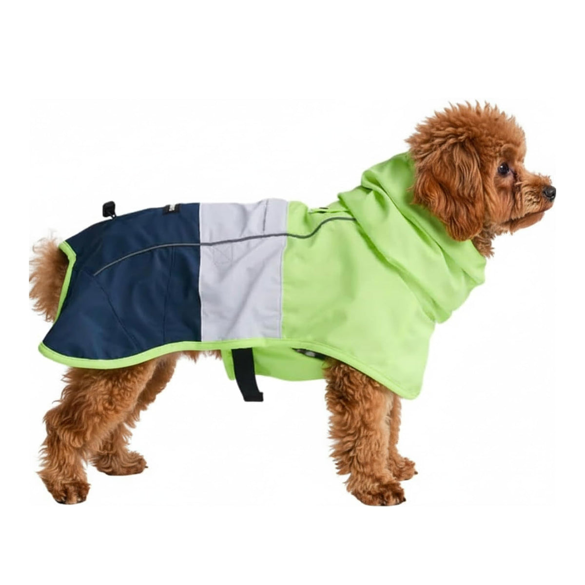 Spark Paws Dog Raincoat, Waterproof Windproof Rain Jacket, for Small Medium Large Extra Large Dogs, Reflective Breathable Full-Body Coverage Dry Suit - Neon White Navy Blue, 2XL