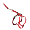 PetSafe Come with Me Kitty Harness and Bungee Leash Adjustable, Lightweight Harness for Cats Large, Lilac