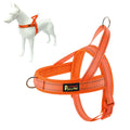 Plutus Pet No Pull Dog Harness with Breathable Mesh Padded, Adjustable Reflective Escape Proof Dog Harness, Quick Fit Dog Vest Harness for Small Medium Large Dogs(M, Beige)