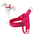 Plutus Pet No Pull Dog Harness with Breathable Mesh Padded, Adjustable Reflective Escape Proof Dog Harness, Quick Fit Dog Vest Harness for Small Medium Large Dogs(M, Beige)