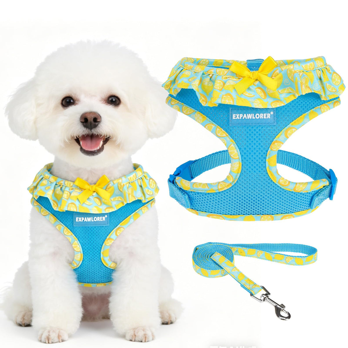 EXPAWLORER Step-in Dog Harness Small Sized Collar and Leash Set