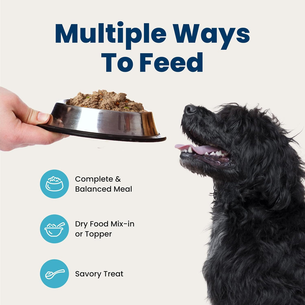 Blue Buffalo Homestyle Recipe Chicken & Vegetable Dinner Paté Natural Wet Dog Food for Senior 7+ Dogs, Made with Natural Ingredients, Vitamins & Minerals, 12.5-oz. Can (12 Count)