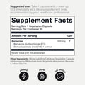 Toniiq NSF Certified Ultra High Strength Berberine HCl from The Himalayas - 100:1 Concentrated Extract - Lab-Tested 97% Berberine HCl - 90 Vegetarian Capsules, 500 mg per Capsule