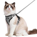 rabbitgoo Cat Harness and Leash Set, Escape Proof Vest, Black | Soft Breathable Mesh, Easy Adjustable Fit, Snap Buckles, Sturdy Clip, Reflective Strips, for Small & Average Cats Walks, Xs