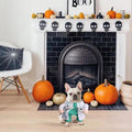 NACOCO Halloween Dog Doctor Costume - Pet Dentist Clothes Cat Funny Uniform Green Outfit Apparel Adjustable for Small Medium and Large Dogs(Green Dentist, S)