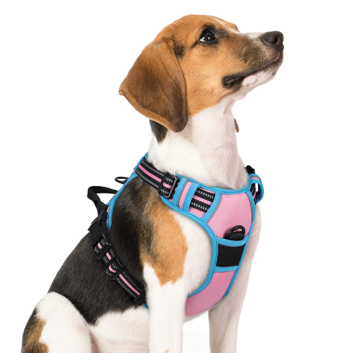 rabbitgoo Dog Harness No Pull with 2 Leash Clips, Adjustable Soft Padded, Reflective Oxford No Choke Pet Vest with Easy Control Handle for Medium Sized Dogs, Black, M
