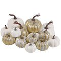 winemana Fall Decorations for Home Mini Pumpkins Gourds & Leaves Set