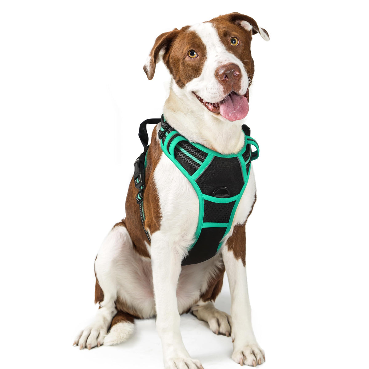 rabbitgoo Dog Harness No Pull with 2 Leash Clips, Adjustable Soft Padded, Reflective Oxford No Choke Pet Vest with Easy Control Handle for Medium Sized Dogs, Black, M