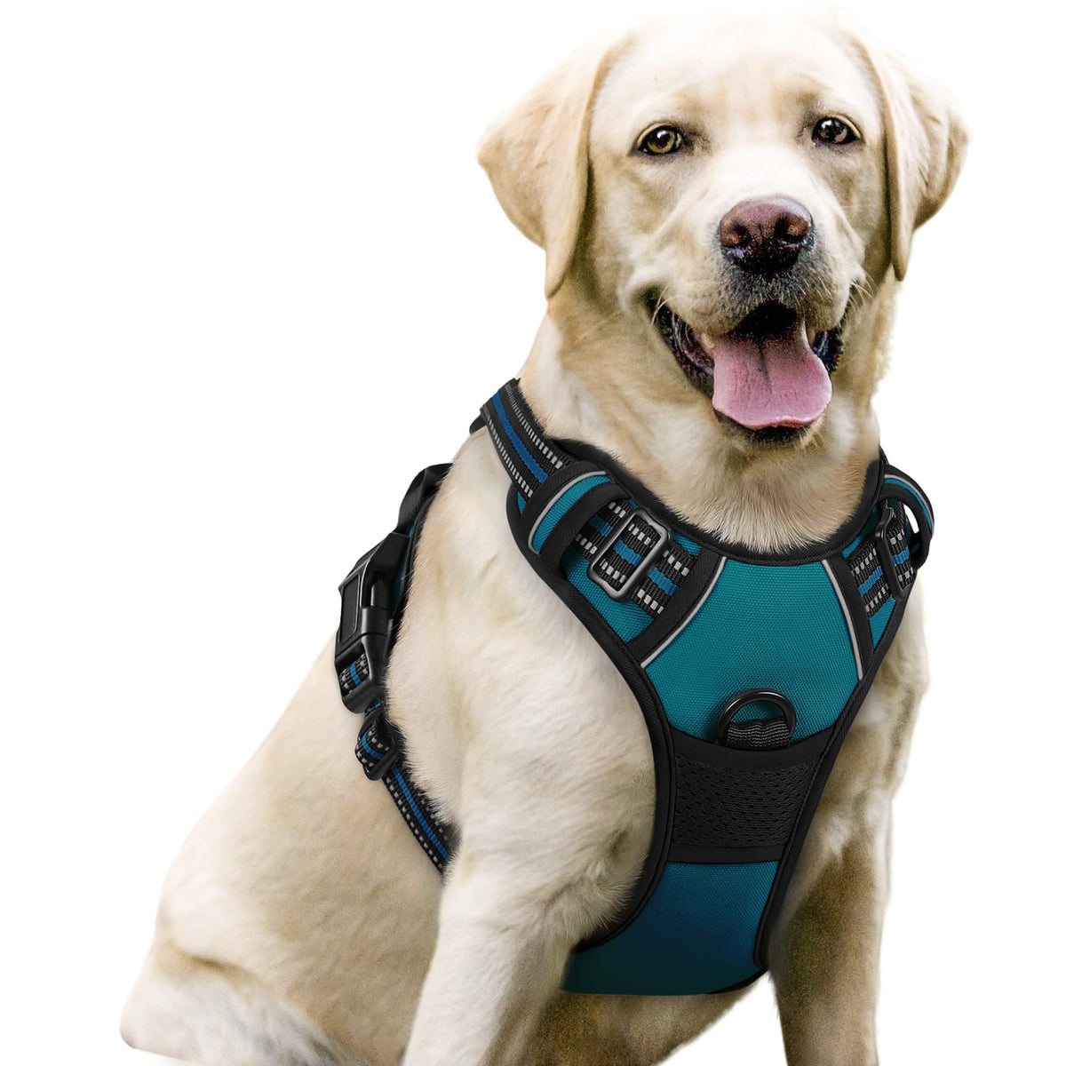 rabbitgoo Dog Harness No Pull with 2 Leash Clips, Adjustable Soft Padded, Reflective Oxford No Choke Pet Vest with Easy Control Handle for Large Dogs, Black, L