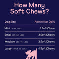 Finn Skin & Coat Salmon Oil Chews for Dogs | Omega-3 EPA & DHA | 90 Ct | Biotin, Zinc & B-Vitamins | Wild Alaskan Sourced | NASC Certified | Vet-Formulated | Healthy Skin & Coat