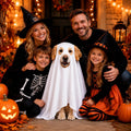 Halloween Ghost Dog Costume Glow Eyes Breathable Outfit for Medium Dogs