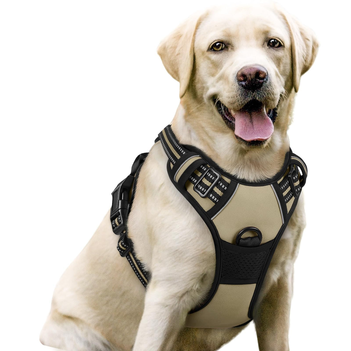 rabbitgoo Dog Harness No Pull with 2 Leash Clips, Adjustable Soft Padded, Reflective Oxford No Choke Pet Vest with Easy Control Handle for Medium Sized Dogs, Black, M