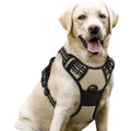 rabbitgoo Dog Harness No Pull with 2 Leash Clips, Adjustable Soft Padded, Reflective Oxford No Choke Pet Vest with Easy Control Handle for Large Dogs, Black, L