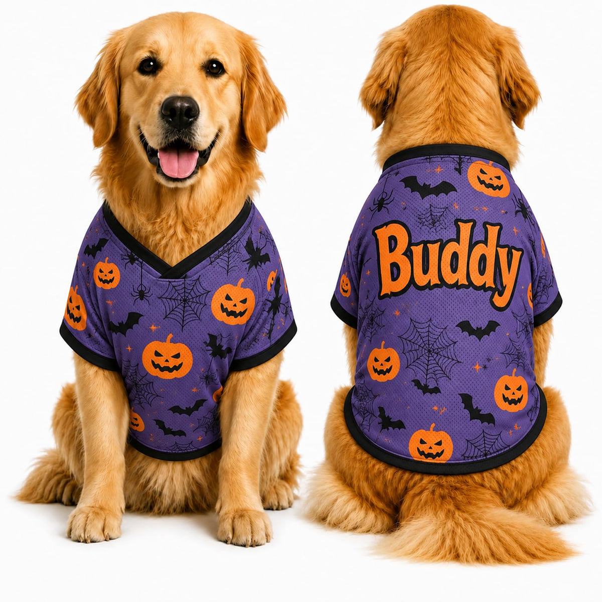 Personalized Halloween Dog Shirt, Custom Pet Shirt with Name, Pumpkin Bat Spider Web Dog Costume